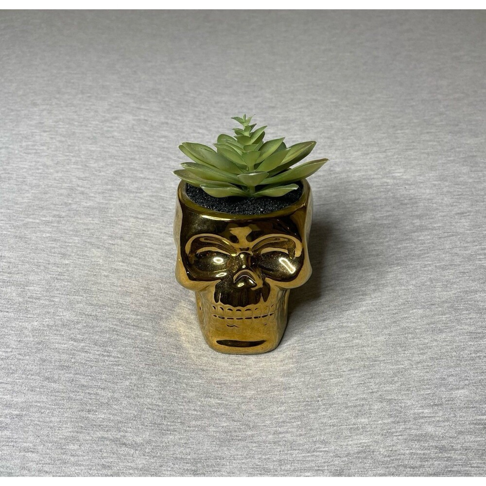 Flora Bunda Met Gold Skull Succulent Plant Desk Decor